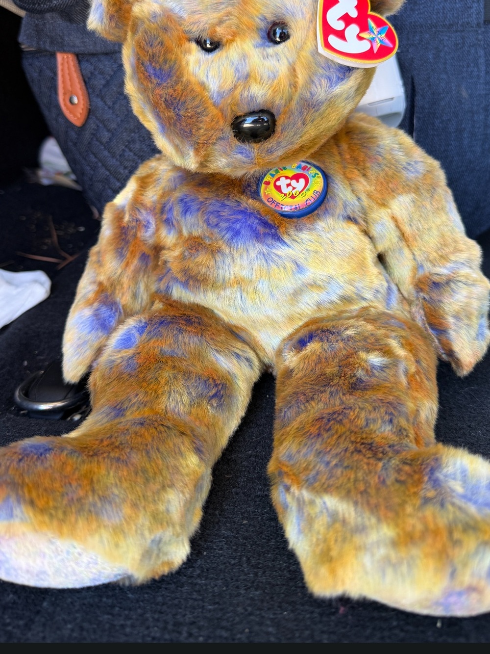 Ty Plush Bear in Brown and Purple - Multicolor Collectible Stuffed Animal
